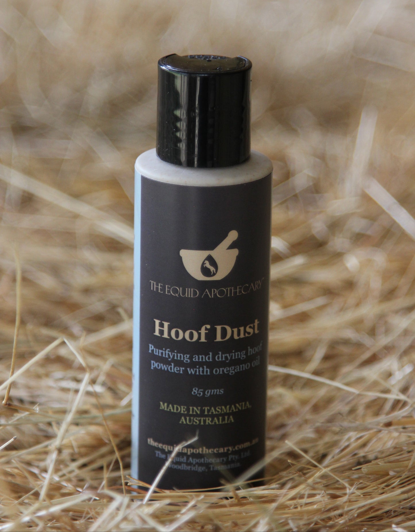 Hoof Dust sitting on a hay bale