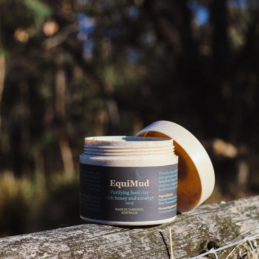 Scratch & Dent EquiMud 250gm