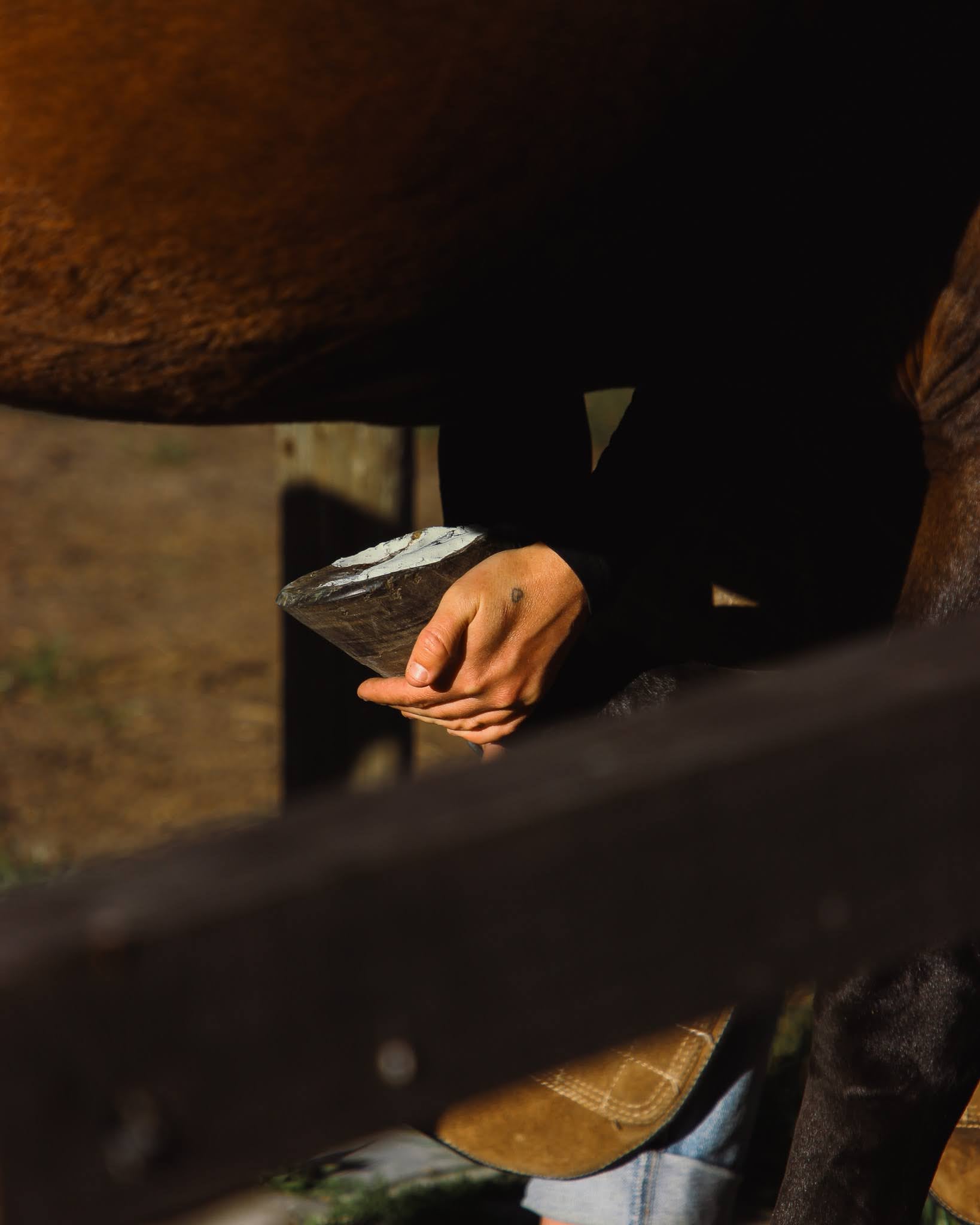 Person holding a horses hoof, with freshly applied antimicrobial hoof clay, EquiMud, for the treatment of thrush and bacteria. 