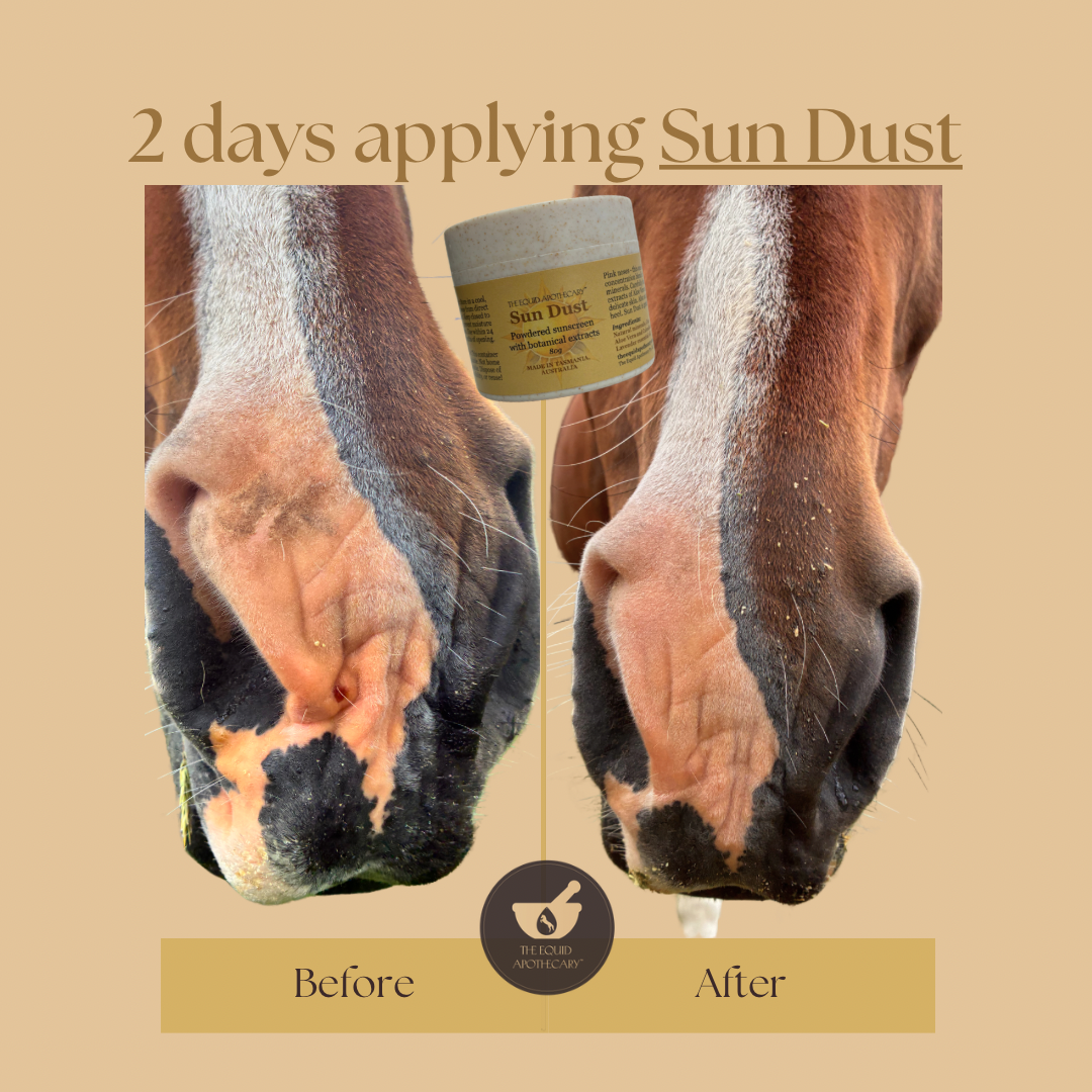 Sun Dust - UV protection 80gm