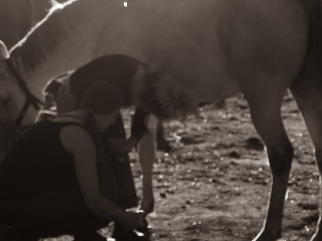 Hoof care products in use. 